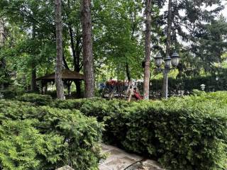 Foto 19