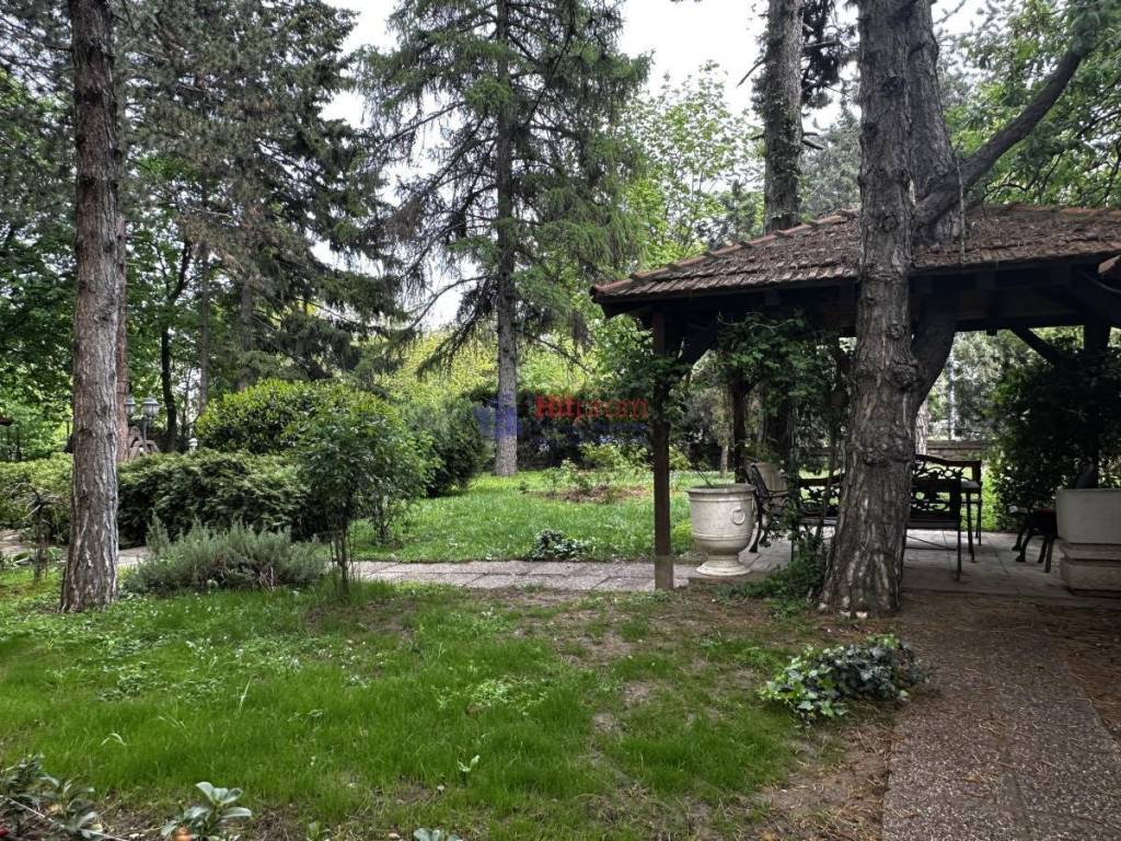 Foto 20