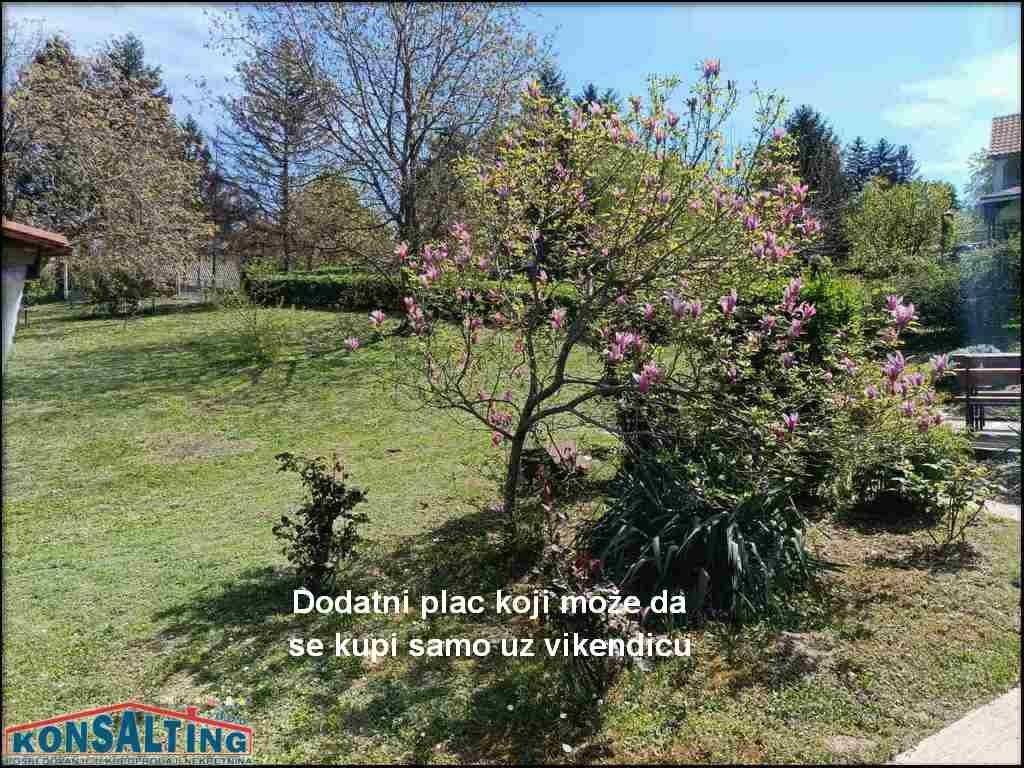 Foto 19