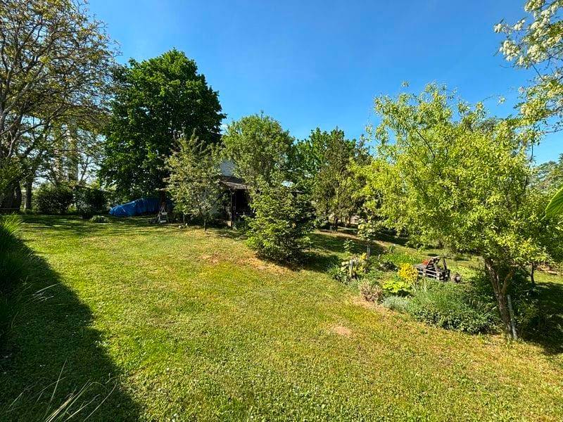 Foto 15