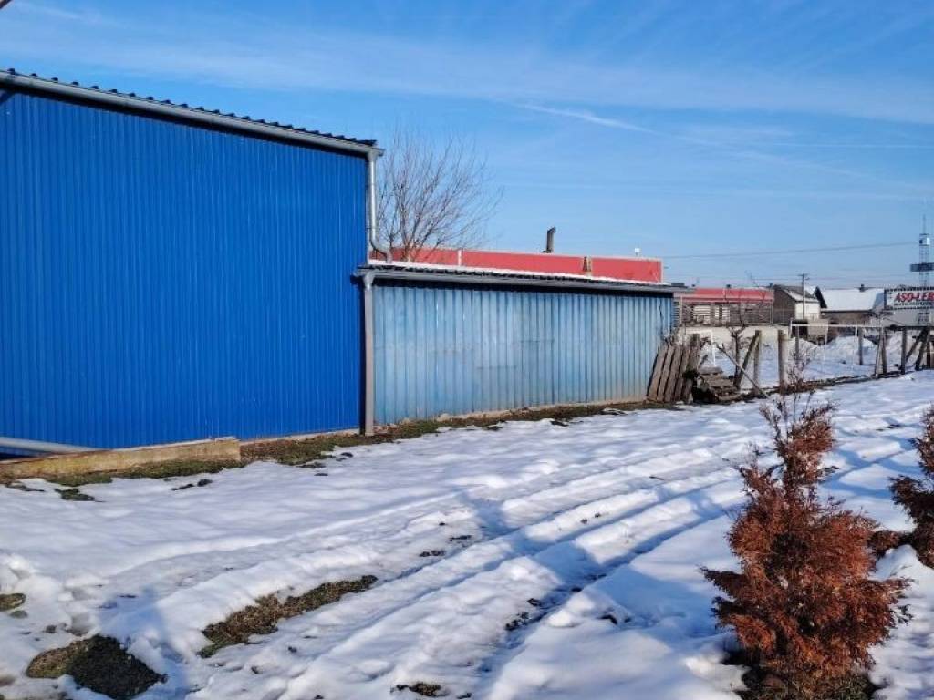 Foto 6