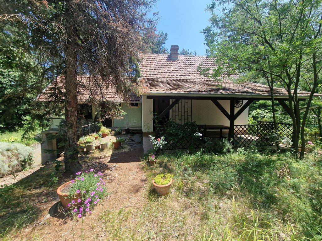 Foto 20