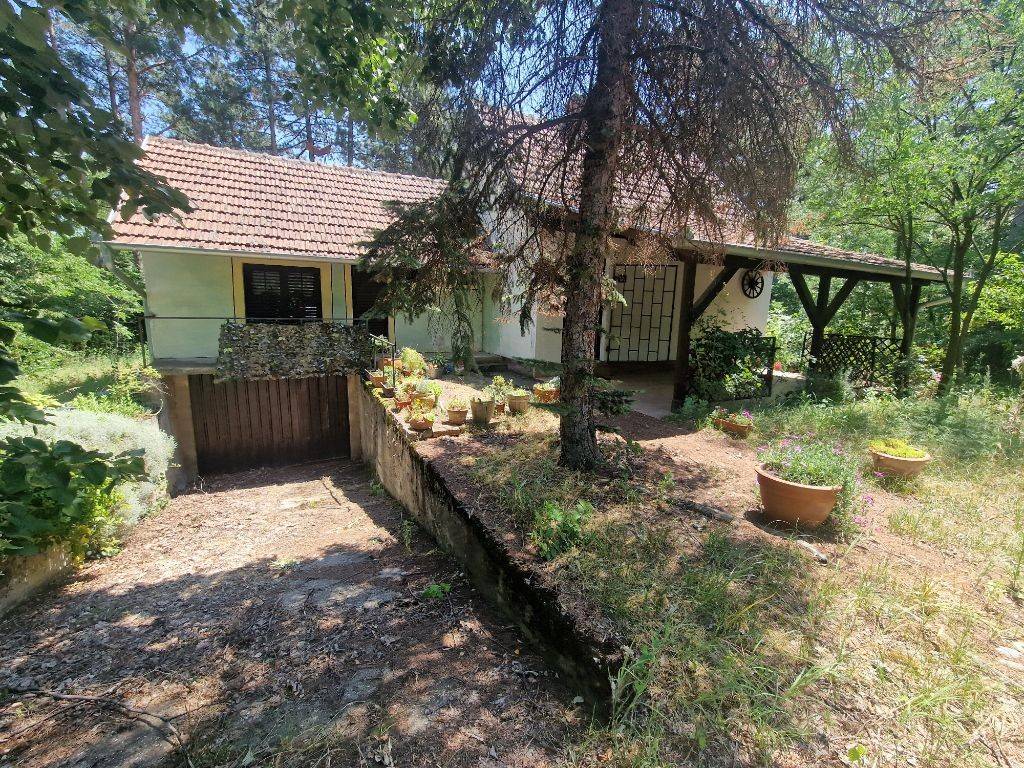 Foto 21