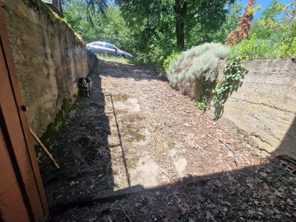 Foto 31