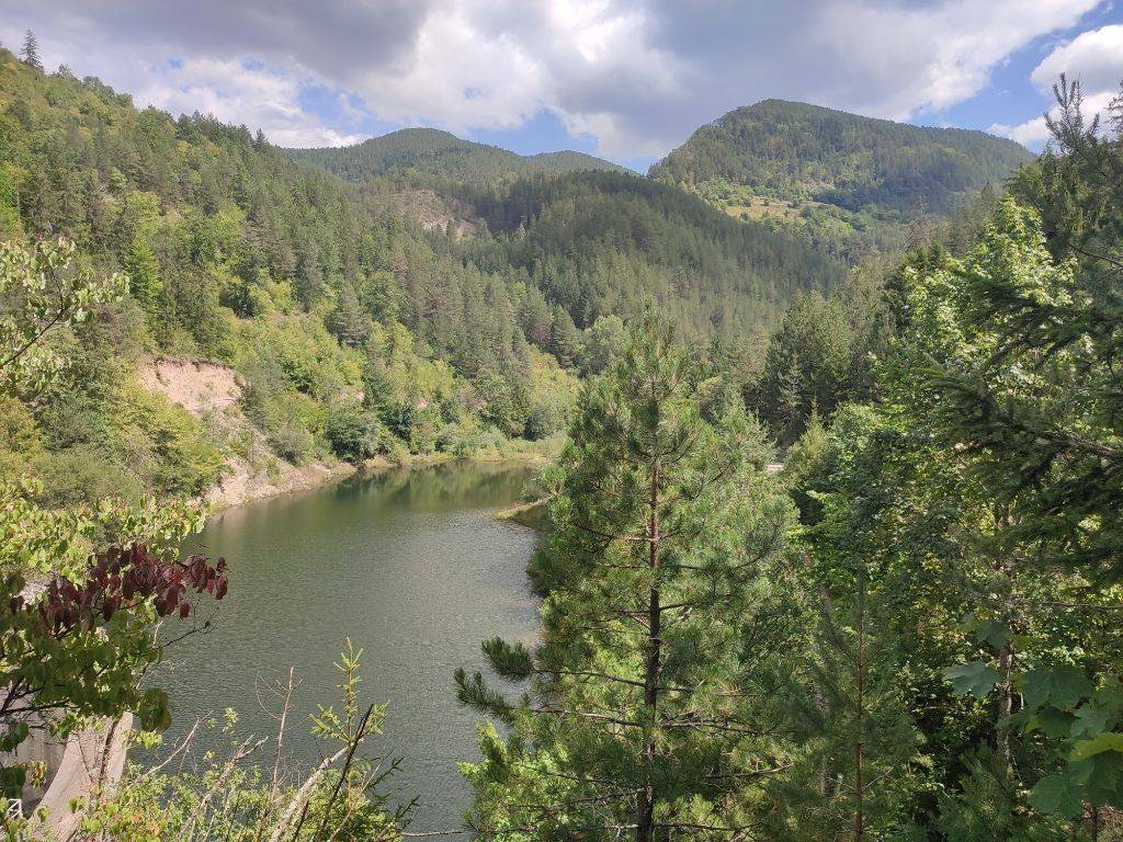 Foto 10