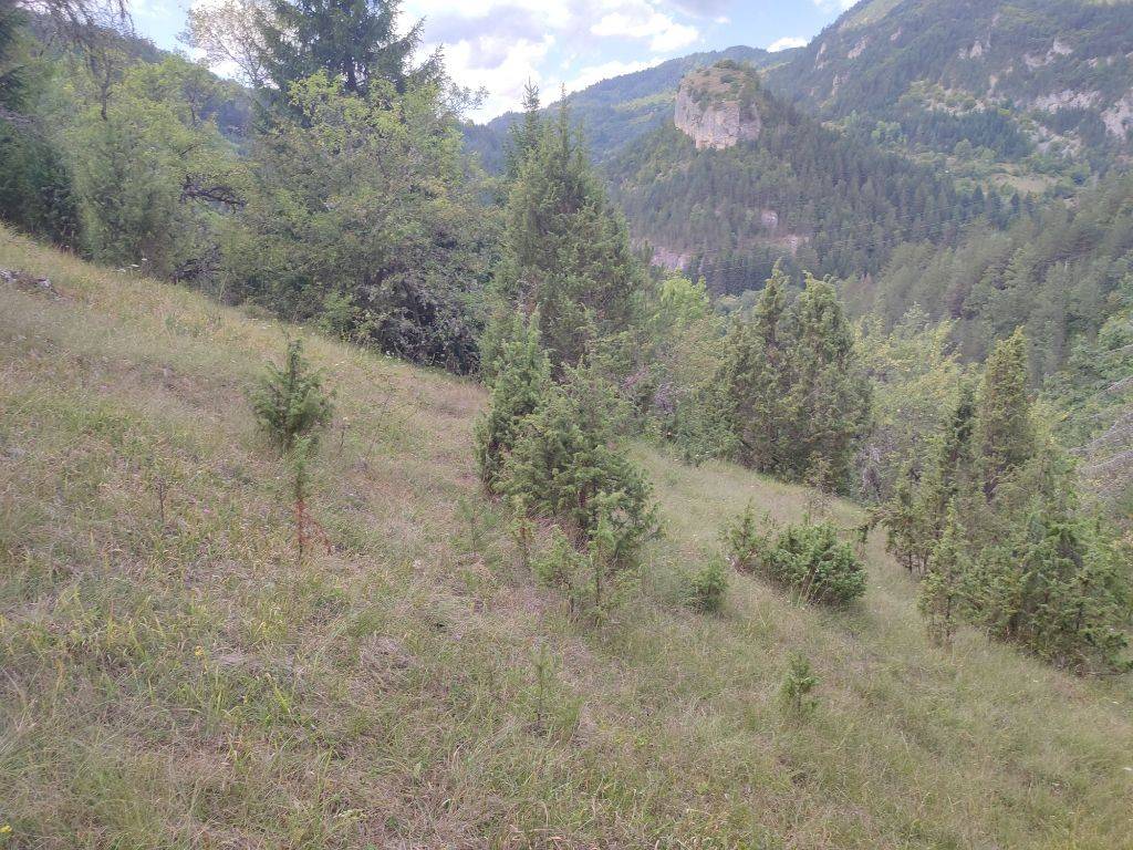 Foto 11