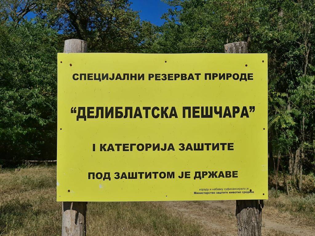 Foto 42