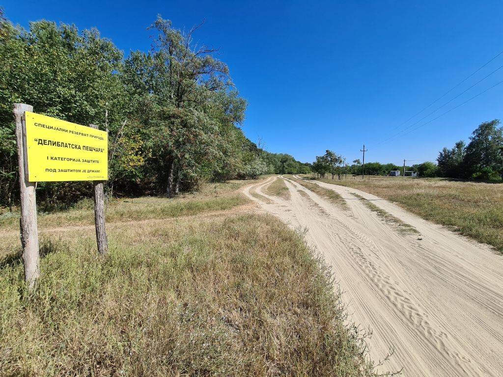 Foto 43