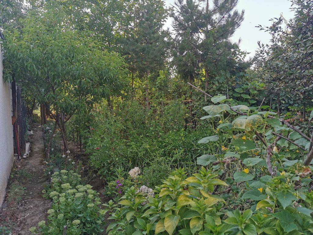Foto 27
