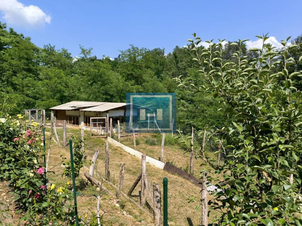 Foto 11