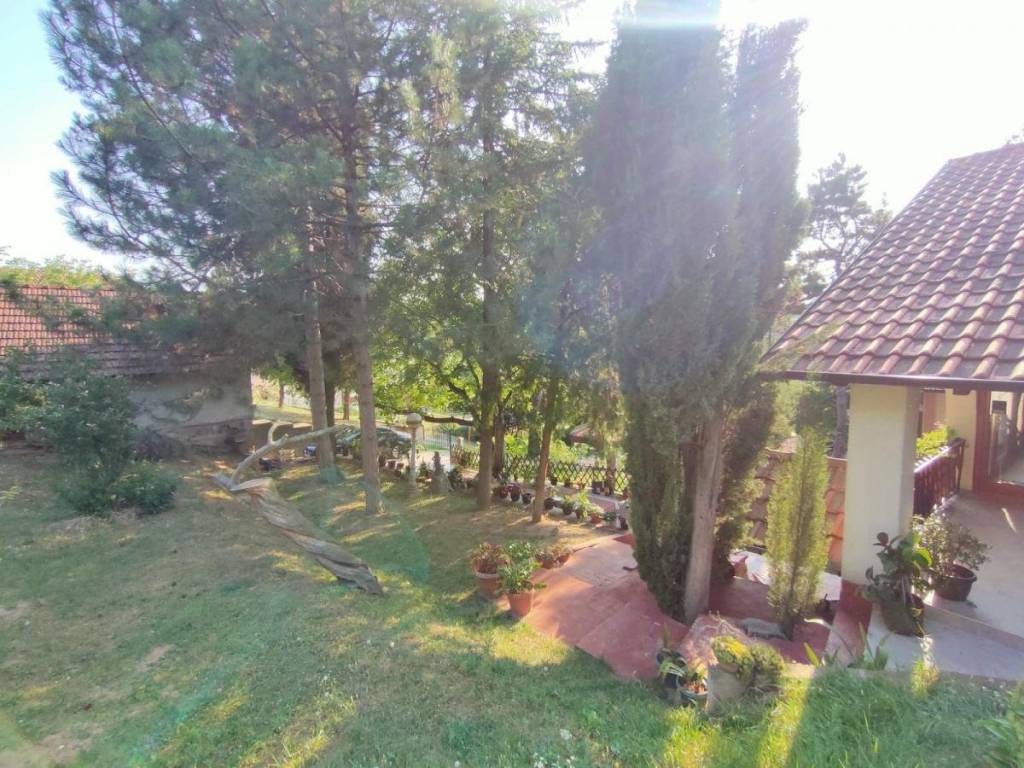Foto 26