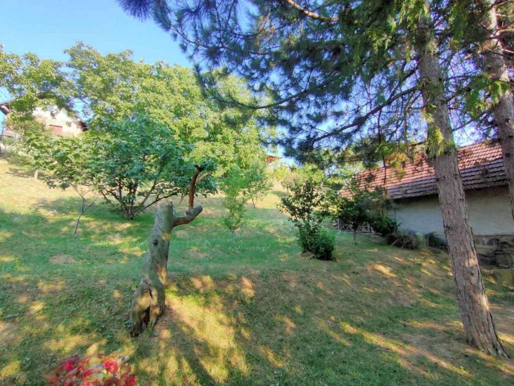 Foto 31