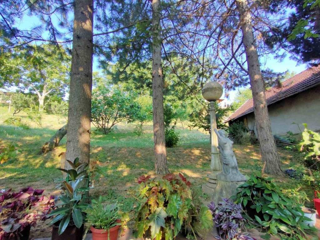 Foto 34