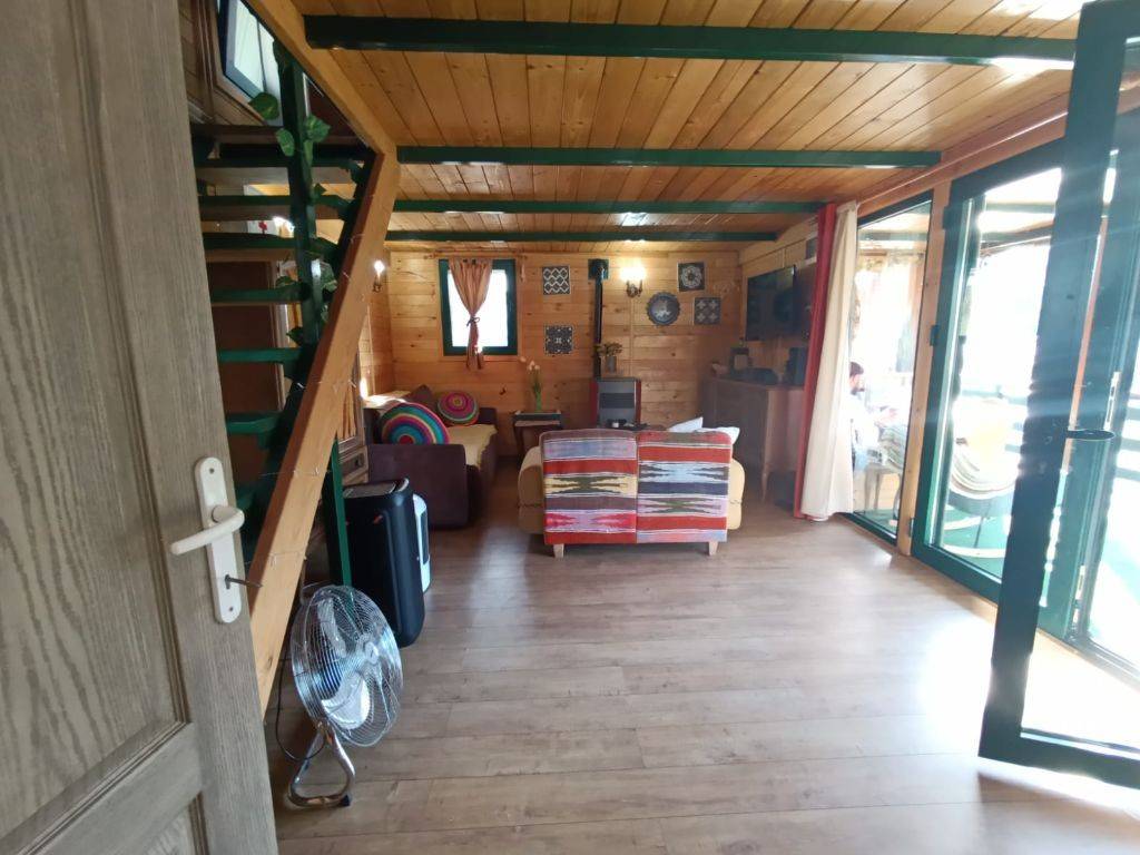 Foto 7