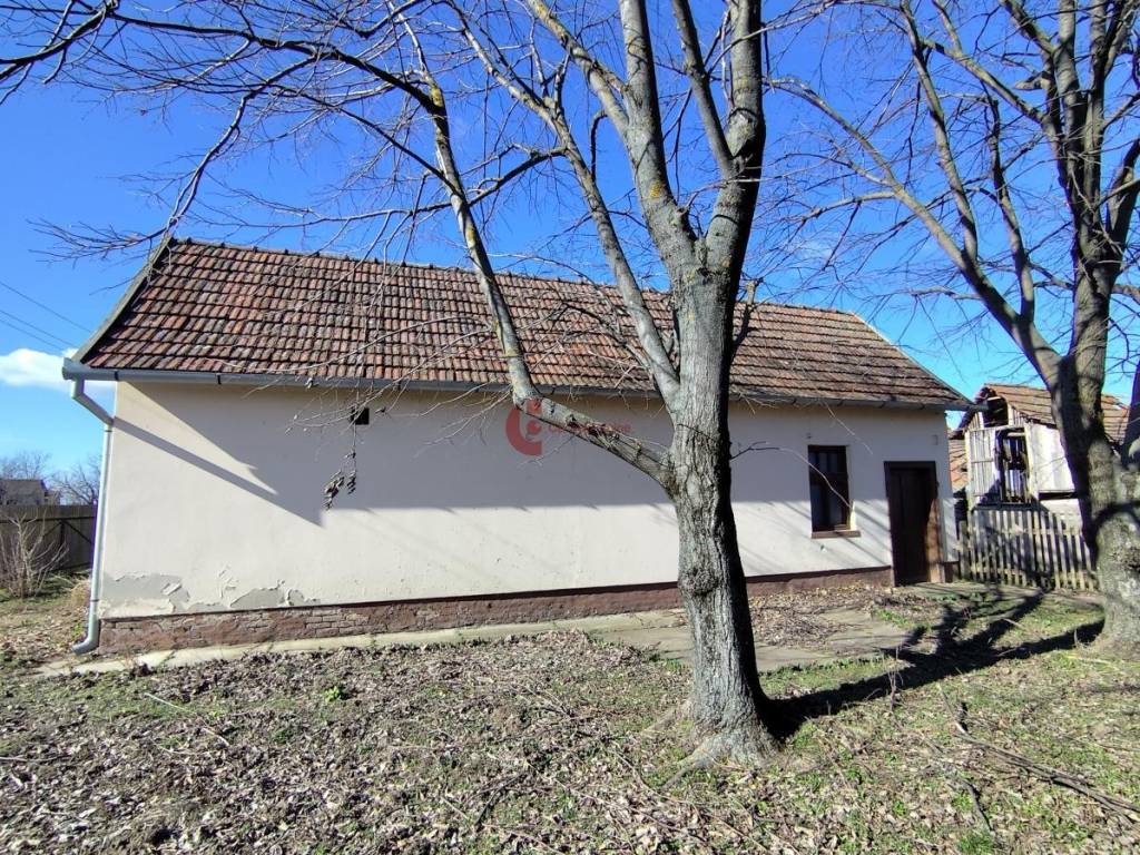Foto 21