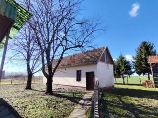 Foto 22
