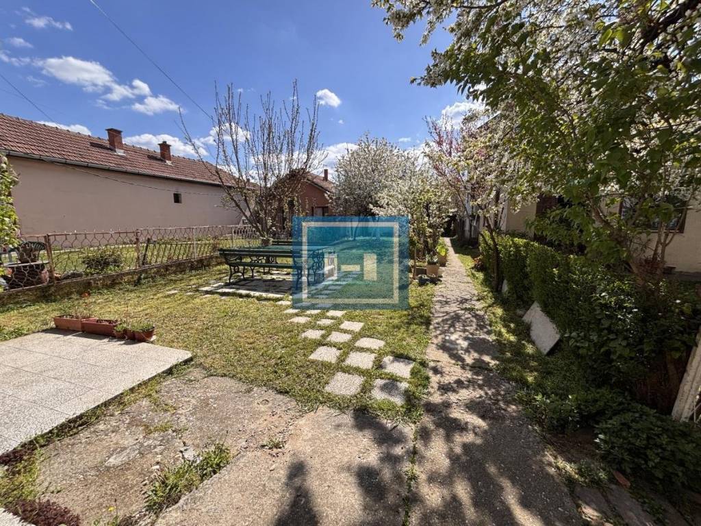 Foto 53