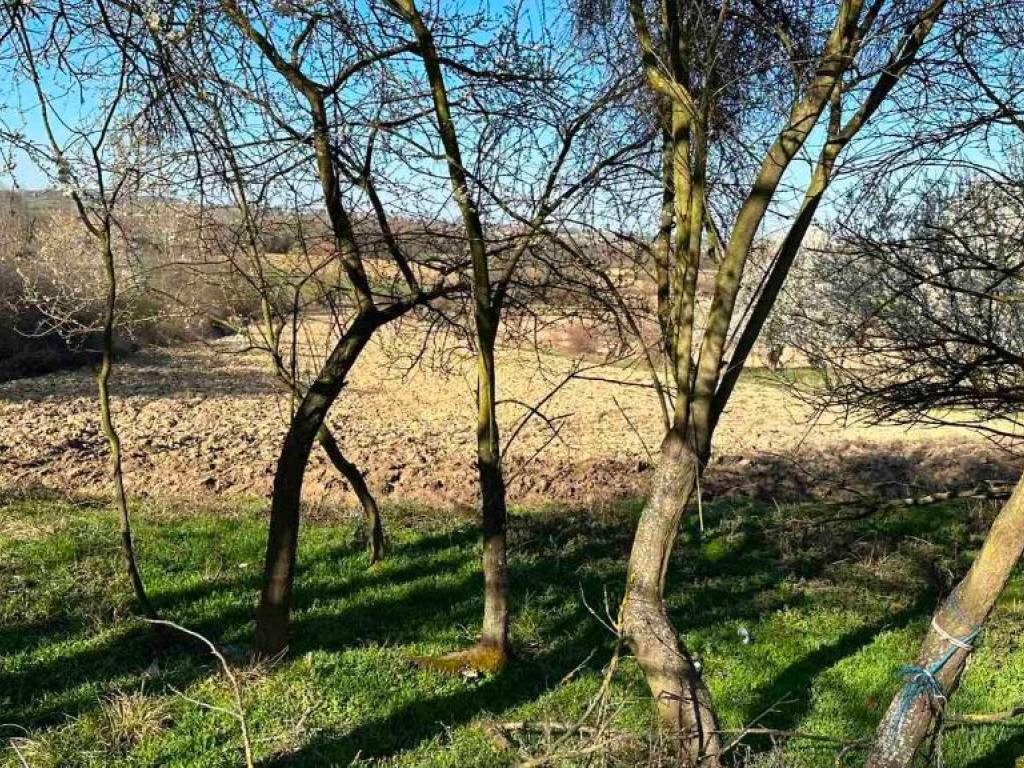 Foto 11