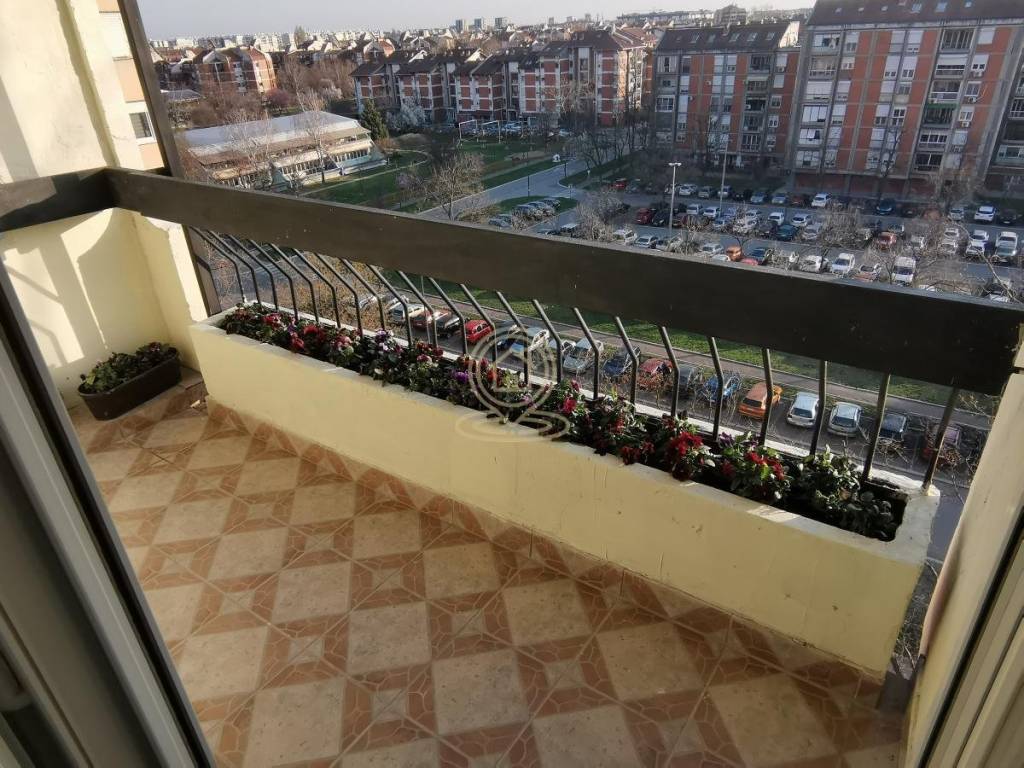 Foto 11
