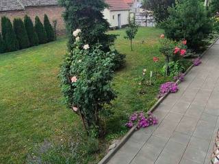 Foto 35