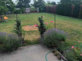 Foto 39