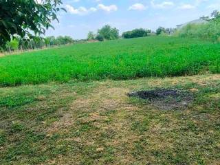 Foto 41