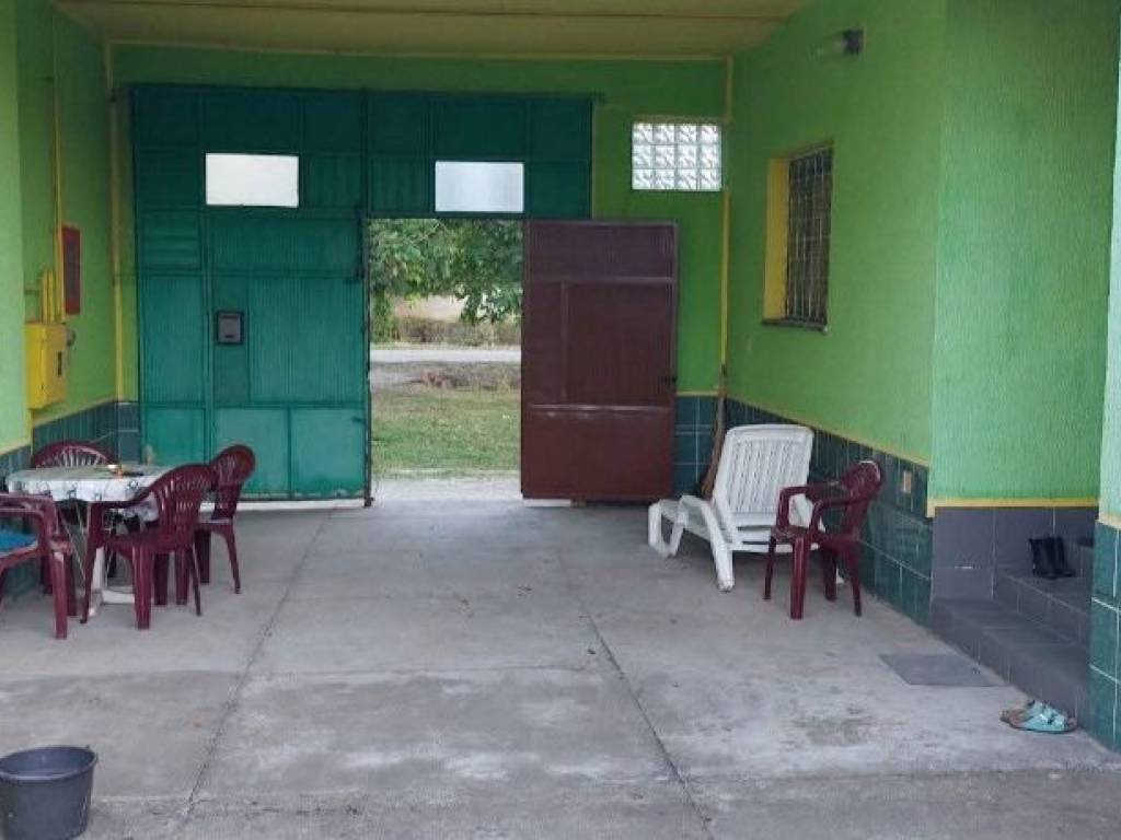 Foto 5