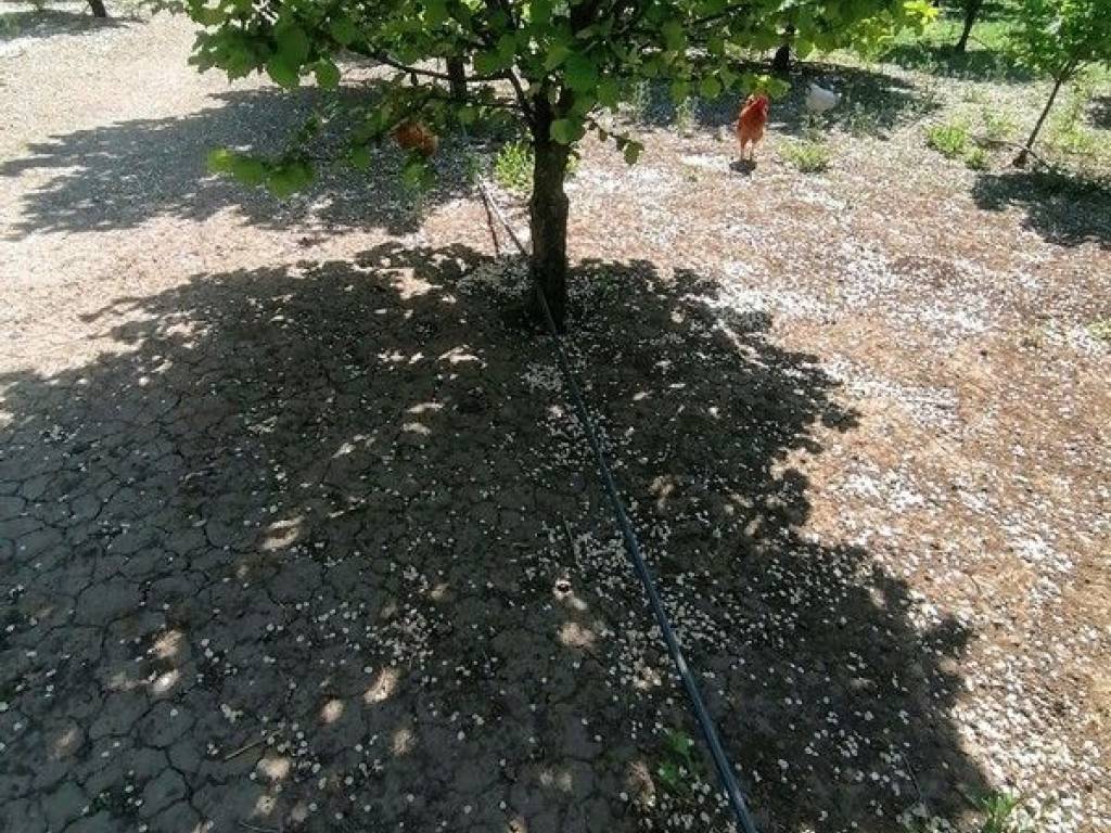 Foto 7