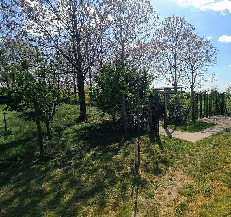 Foto 24