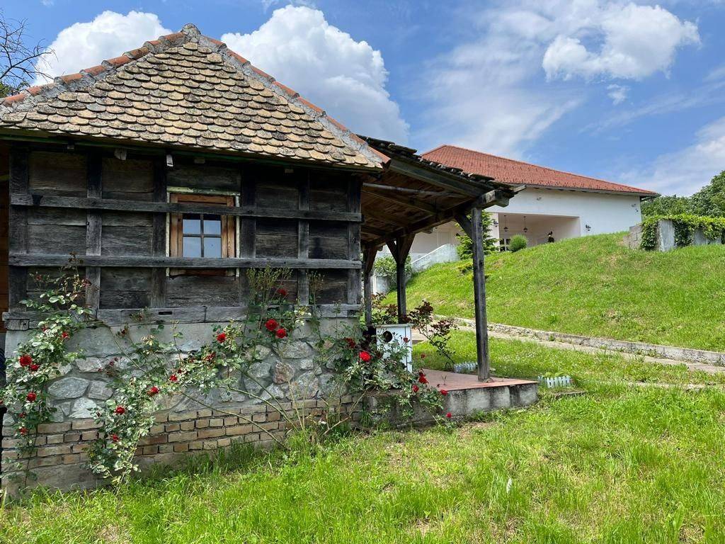 Foto 13