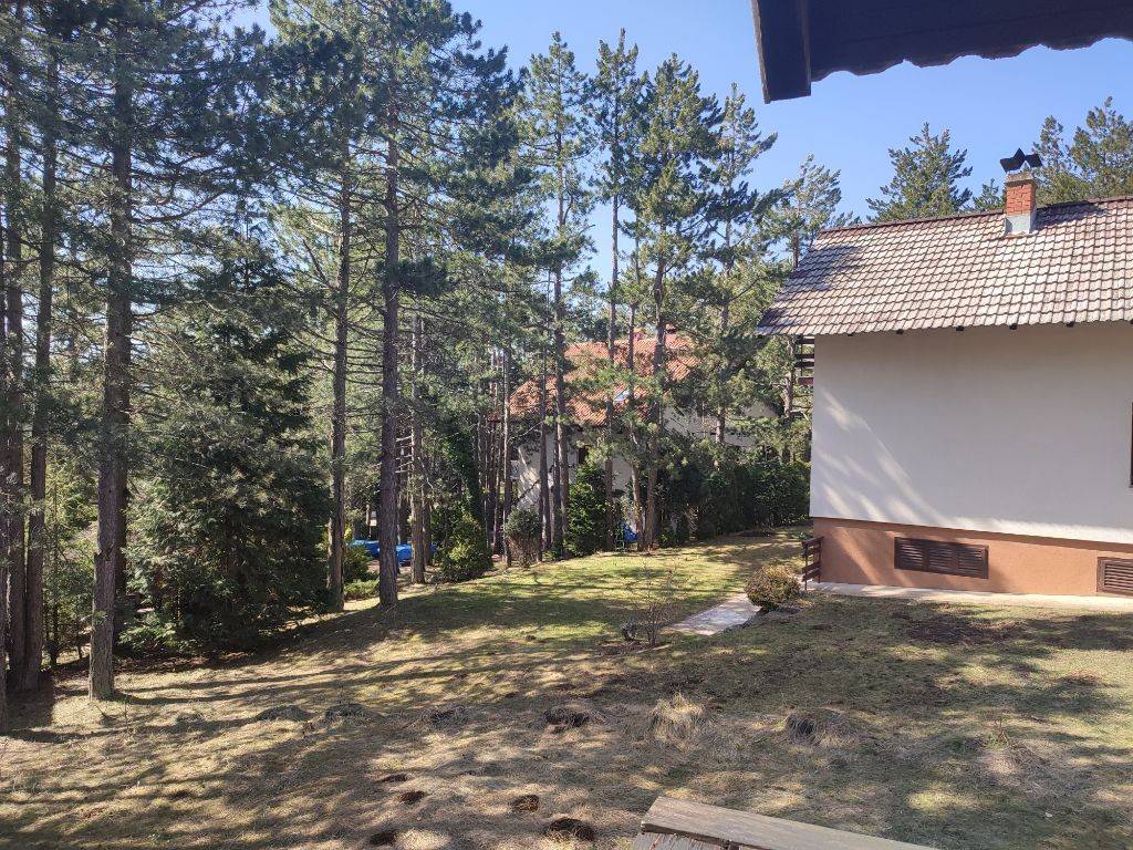 Foto 31