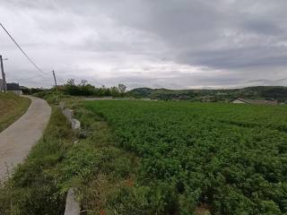 Foto 20