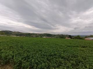 Foto 22