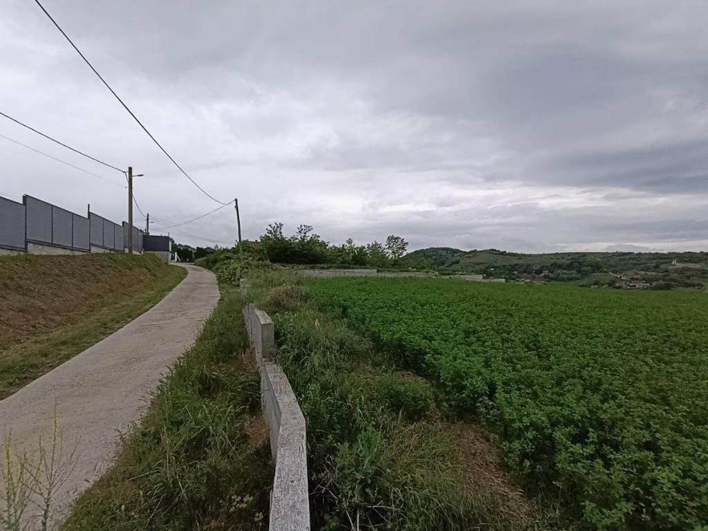 Foto 23