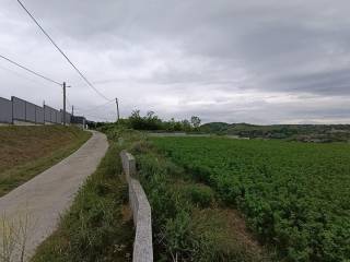 Foto 23
