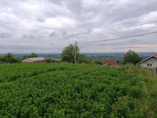 Foto 24