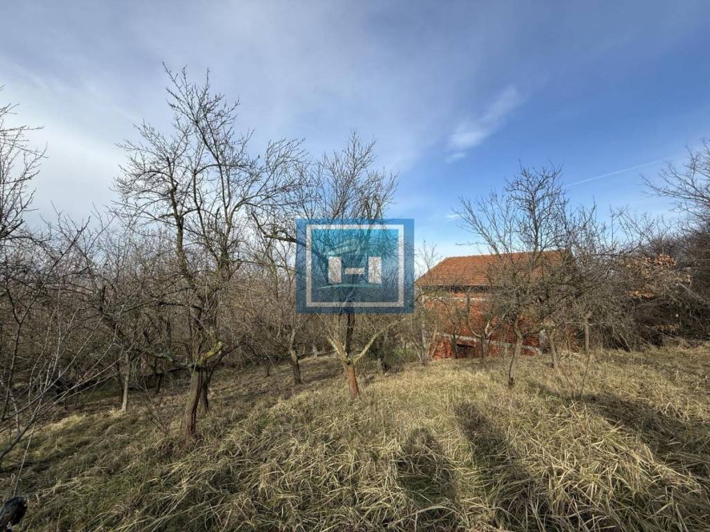 Foto 46