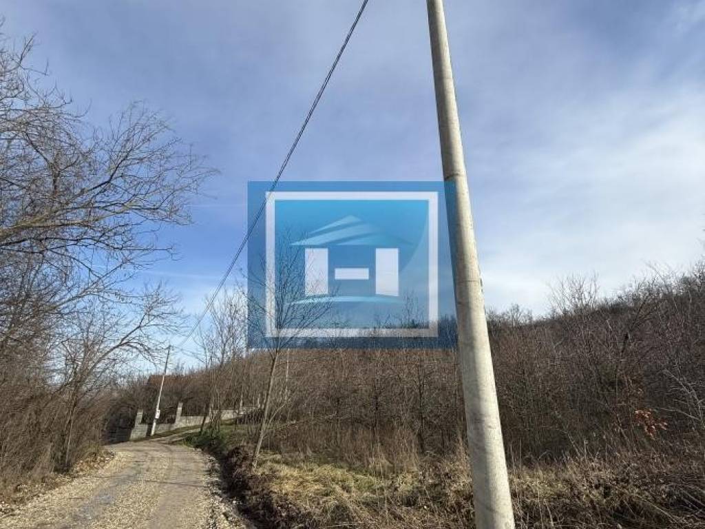 Foto 47