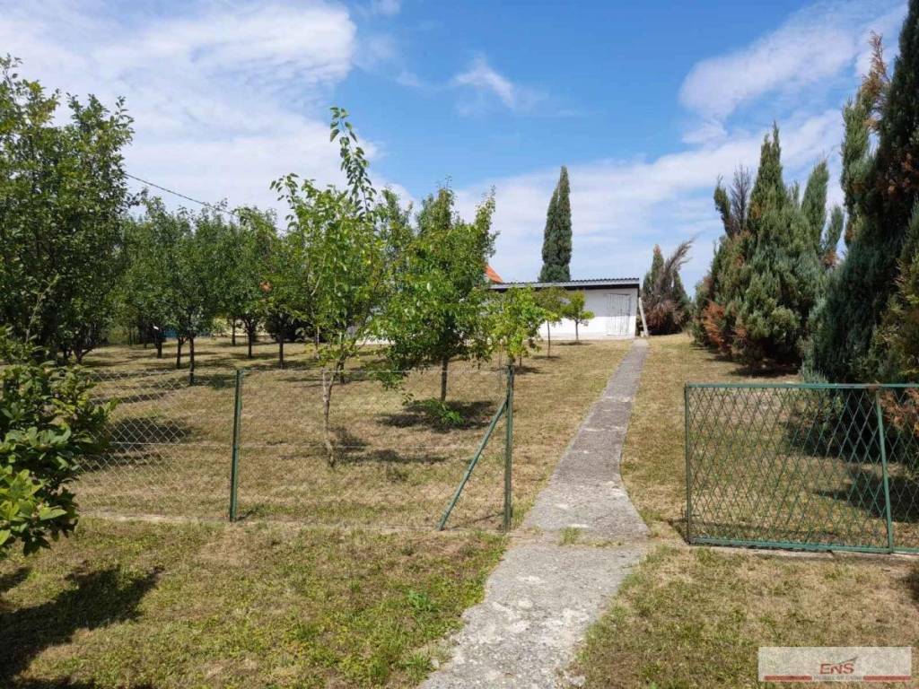 Foto 23