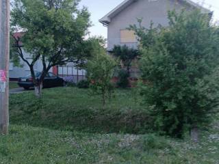 Foto 56
