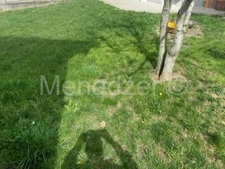 Foto 30