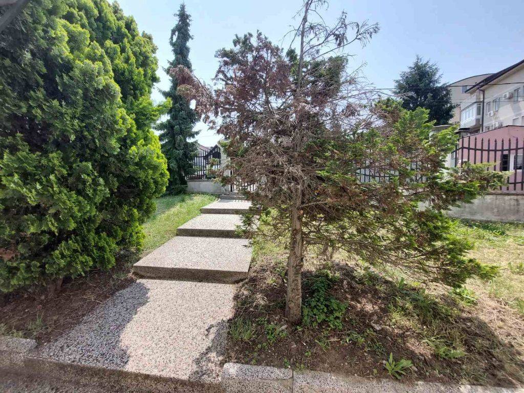 Foto 20