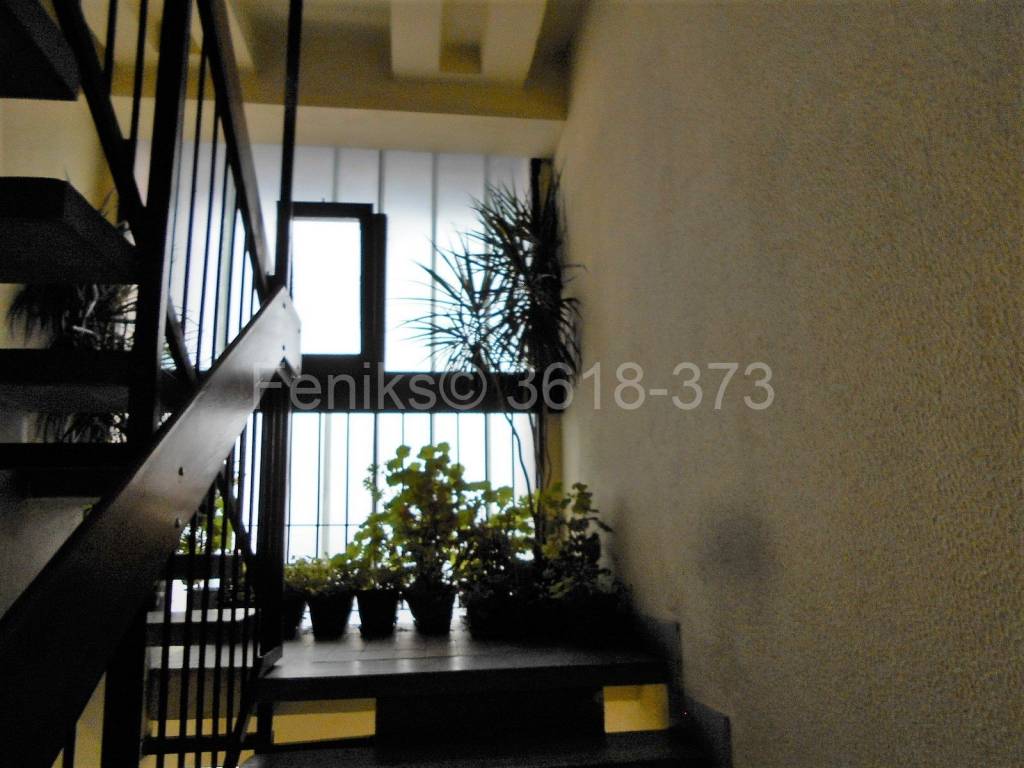 Foto 22
