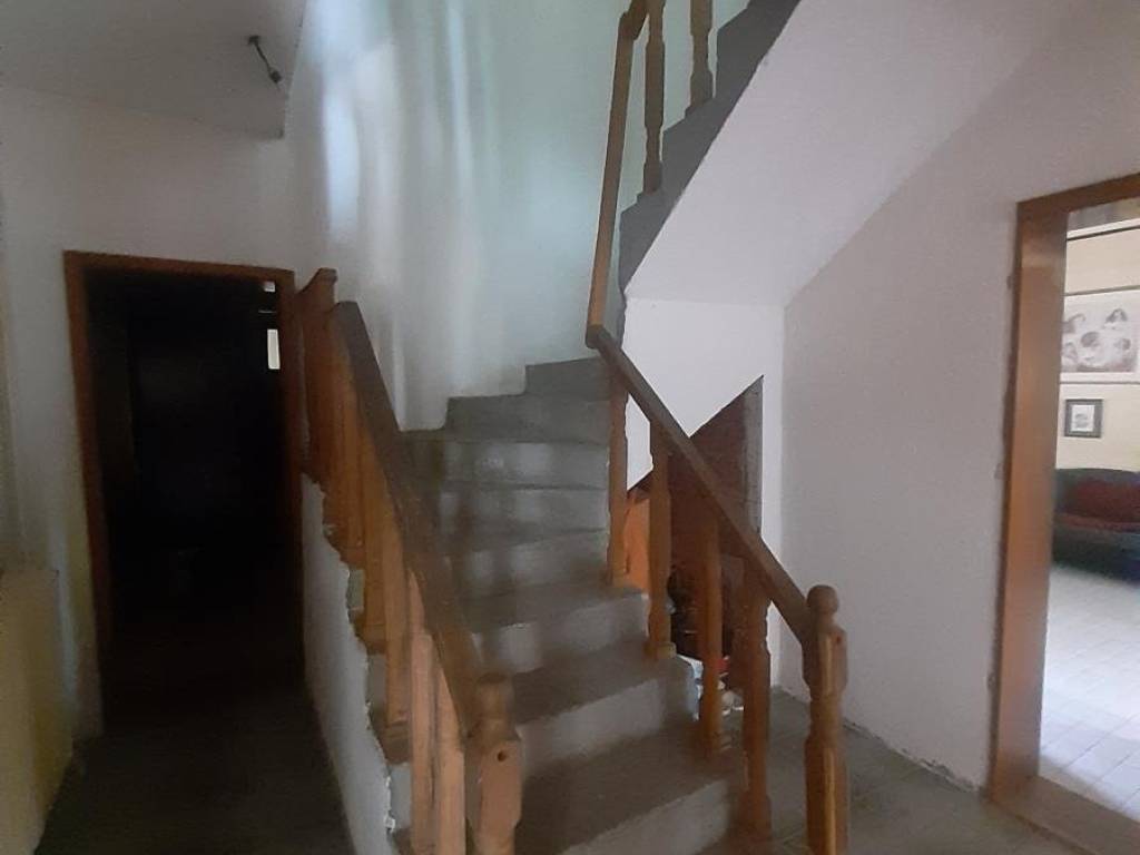 Foto 23