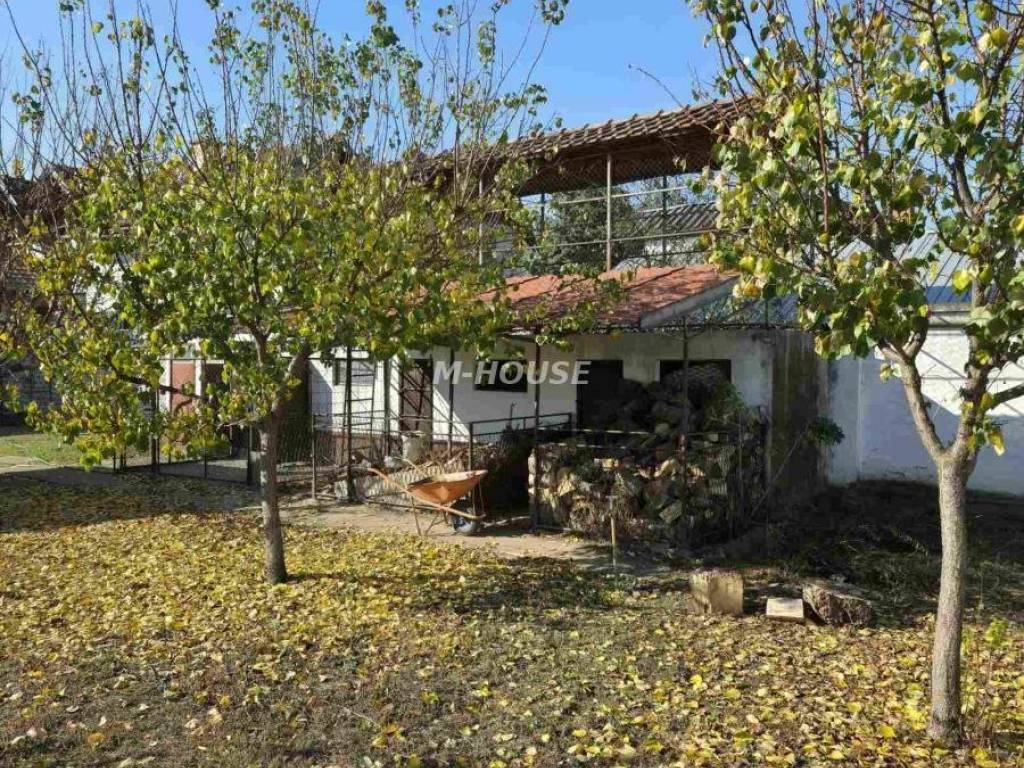 Foto 44