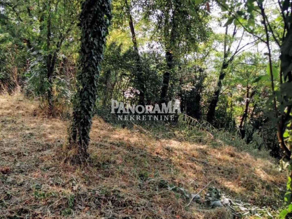 Foto 30