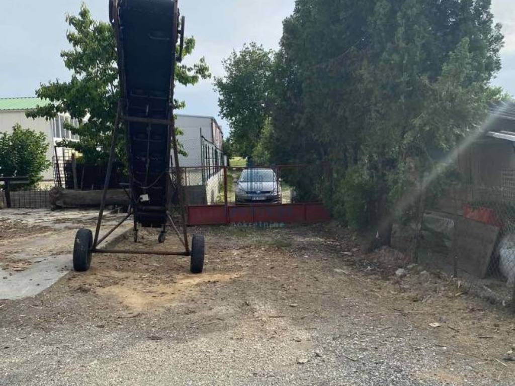 Foto 19