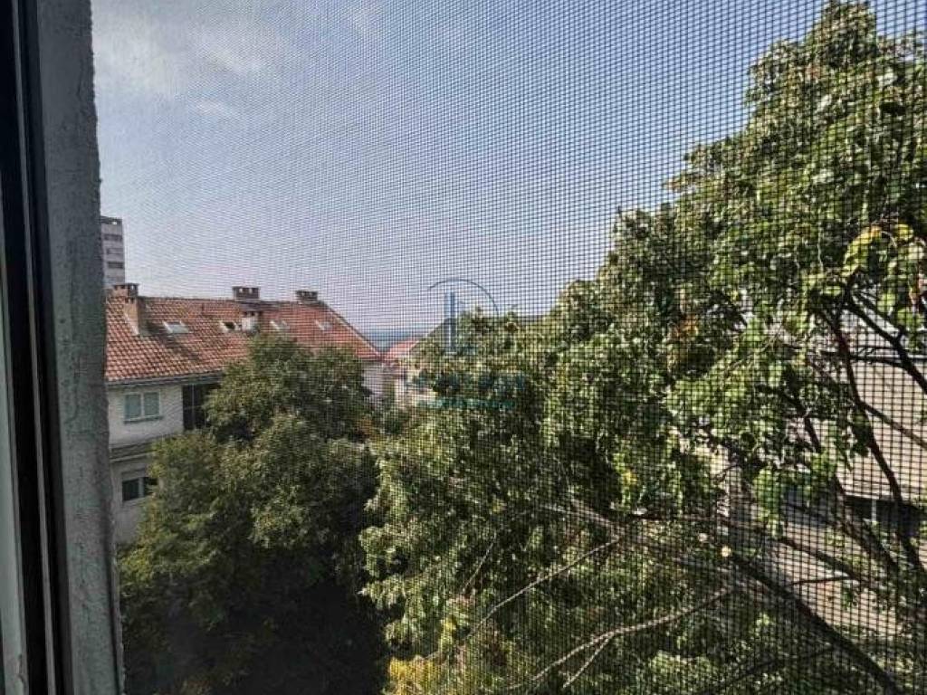 Foto 21
