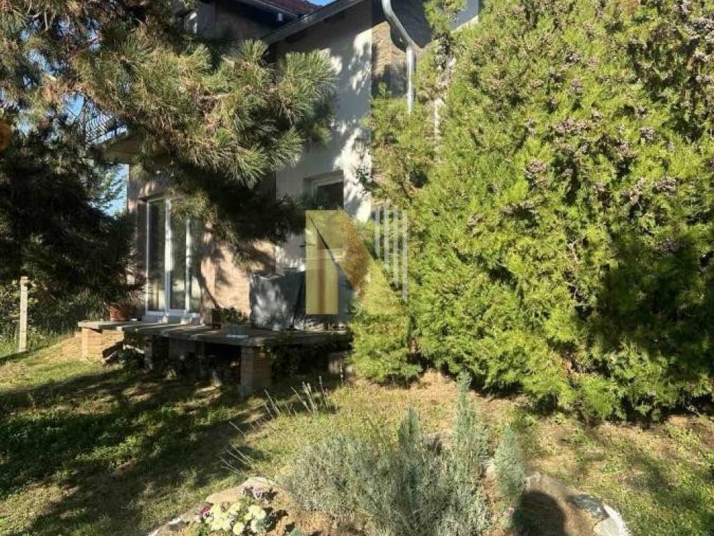 Foto 32