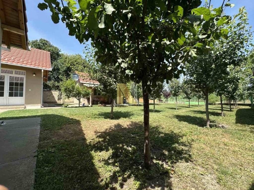 Foto 23